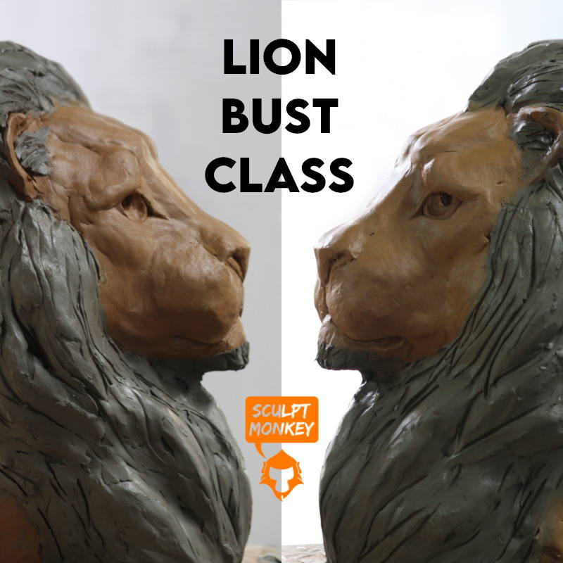 Lion Bust Class - Poster 02